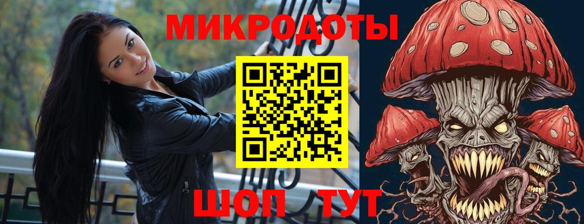 Галлюциногенные грибы Psilocybe Феодосия